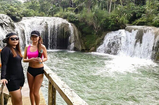2025 Tarsier, Waterfalls & Chocolate Hills Tour - Price and value: what $65 buys you