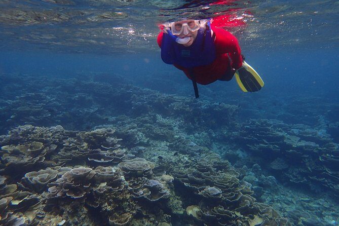 Anilao Snorkel Safari: Explore the Amazing Underwater World - On the Water in an Outrigger Boat: How the Day Feels