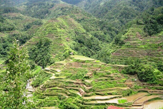 Banaue-Hapao Rice Terraces (Car Rental W/ Manila Tourist Driver) - A smarter way to reach Banaue from Manila