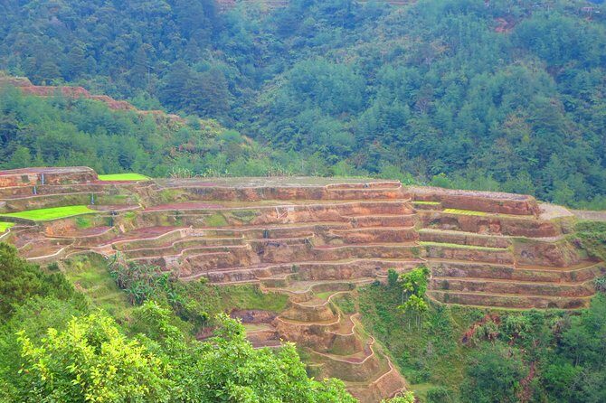 Banaue Rice Terraces Escape: 3 Days, 2 Nights with Transfers - Transfers from select Manila hotels: fewer headaches, more time for the views
