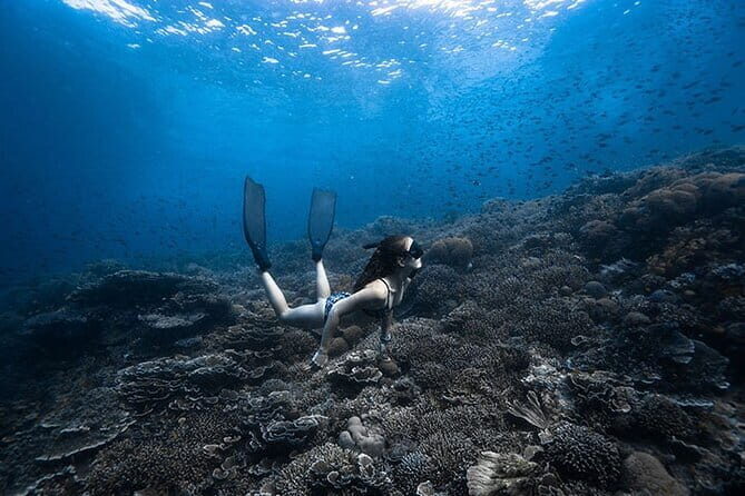 Beginner Freediving Course (with Bonus Session) - Key Highlights You’ll Care About