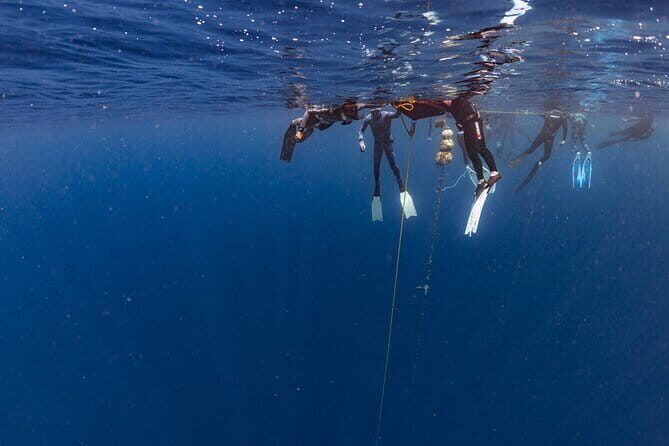 Beginner Freediving Course (with Bonus Session) - Price and Planning: Getting Your Money’s Worth