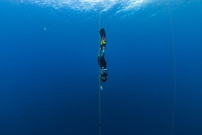 Beginner Freediving Course (with Bonus Session) - Small Group, Real Coaching: Equipment and Certificate Value