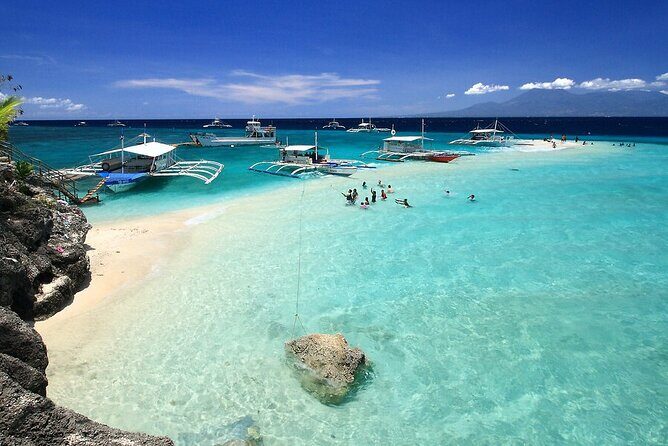 BEST OF CEBU:Oslob Whaleshark Encounter w Sandbar & Tumalog Falls - Oslob Whale Shark Close Encounter: What You’re Really Paying For