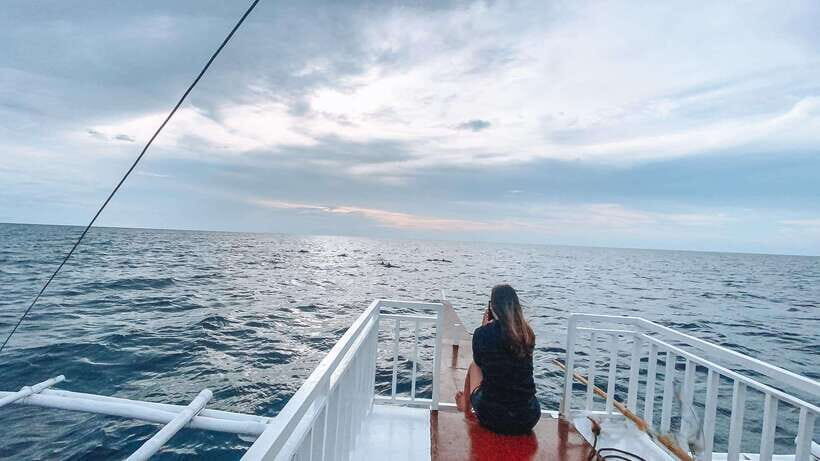 Bohol Balicasag Is Private Tour and Dolphin Watching - Private Bohol Dolphin Day: What You’re Really Buying