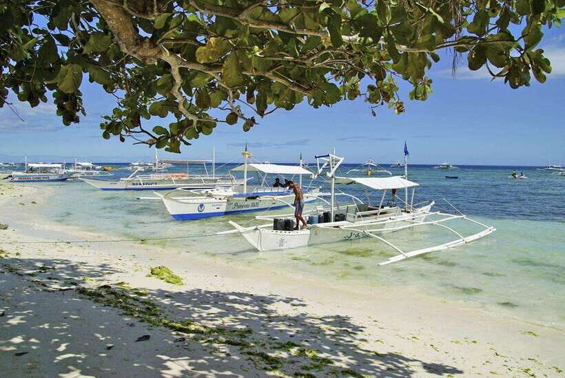 Bohol Balicasag Is Private Tour and Dolphin Watching - Meeting in Panglao and Getting on the Right Boat