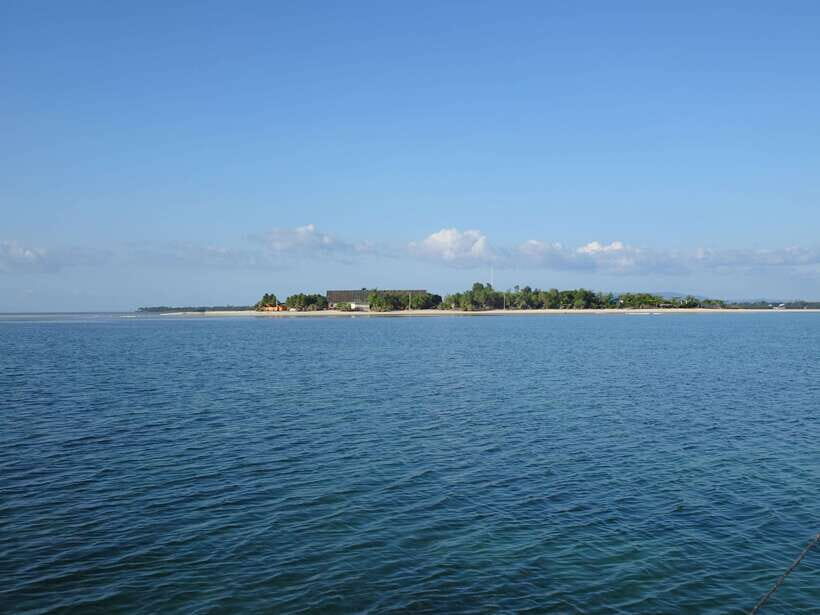 Bohol Balicasag Is Private Tour and Dolphin Watching - Who Should Book This Private Tour—and Who Should Skip It