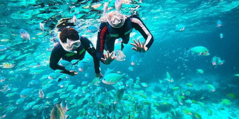 Bohol: Balicasag Shared Island Hopping Tour - Balicasag Island snorkeling: where turtles and coral-country start
