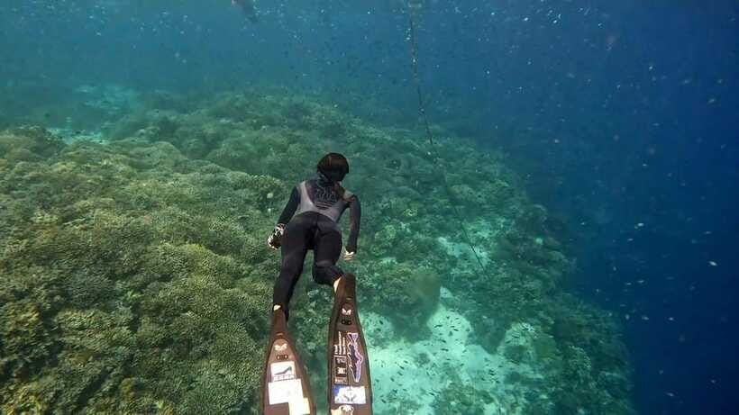 Bohol: Boat Tour to Sandbar and Snorkeling with Turtles - The Virgin Island Sandbar: white sand, shallow seas, and tide reality
