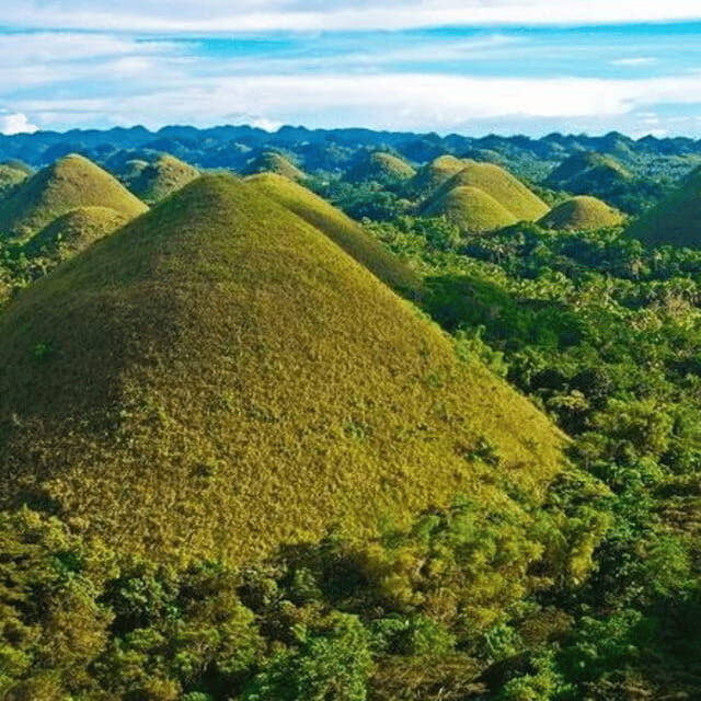 Bohol: Choco Tour + Loboc River Lunch Buffet + ATV Adventure - Bilar Man-Made Forest: The Mahogany Photo Tunnel Stop