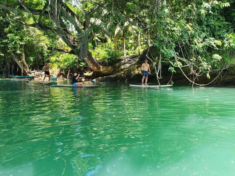Bohol: Chocolate Hills and Countryside Tour - Bilar Man-Made Forest Drive: The Short Stop That Feels Cinematic