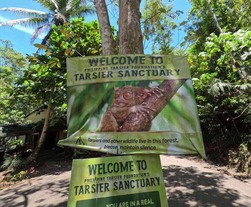 Bohol Chocolate hills Private Tour - Key things to know before you go