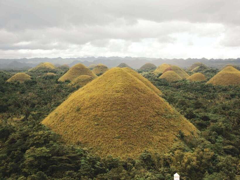 Bohol Chocolate hills Private Tour - Private Bohol Tour: Why this version feels different
