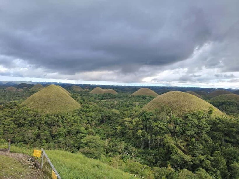 BOHOL: Chocolate Hills, Tarsiers and Loboc River Day Tour - The big value: seeing Bohol’s headline acts without the stress