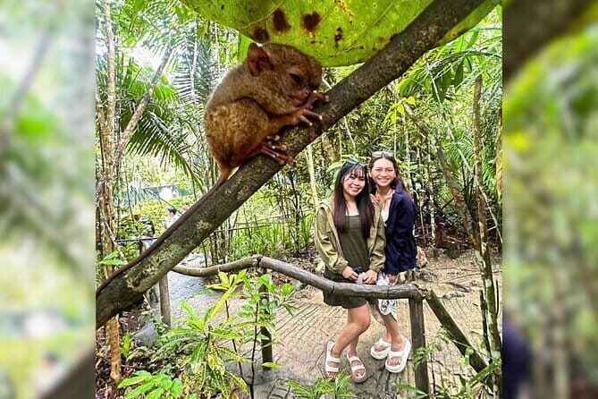 Bohol: Chocolate Hills, Tarsiers, & Loboc River Private Tour - Entering The Day: Private Comfort From Panglao Or Tagbilaran
