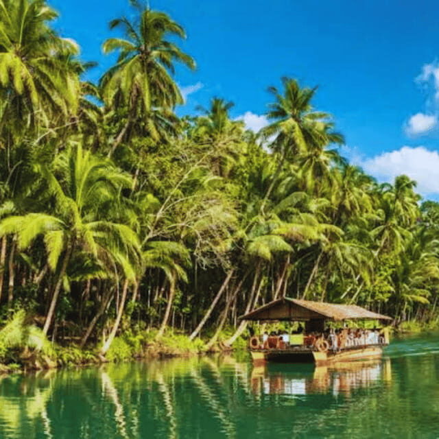 Bohol: Chocolate Hills Tour with Loboc River Cruise & Lunch - Getting Oriented in Panglao: The McDonald’s Meetup That Starts the Day