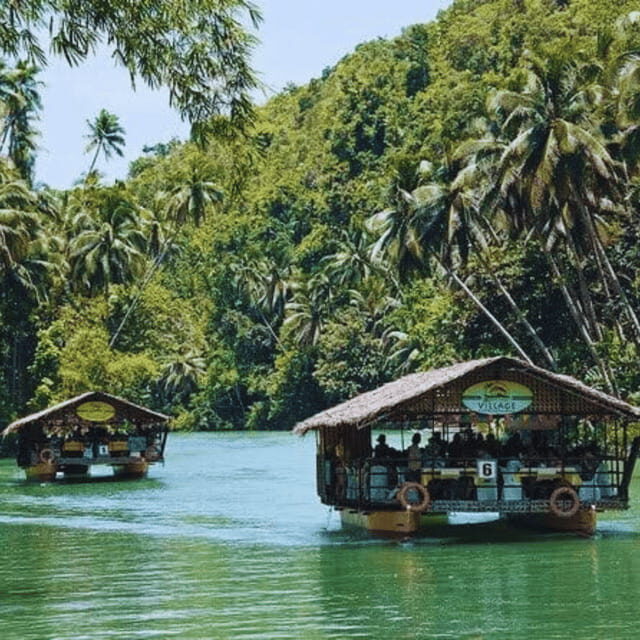 Bohol: Chocolate Hills Tour with Loboc River Cruise & Lunch - Who This Bohol Chocolate Hills + Loboc Cruise Day Trip Fits Best