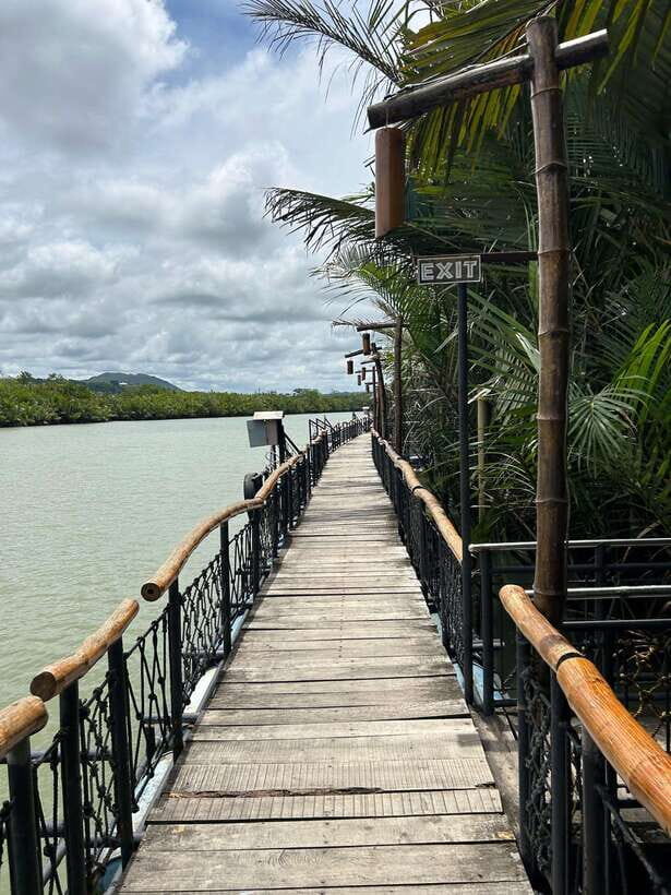 Bohol: Chocolate Hills Tour with Loboc River Cruise & Lunch - Van Time in Bohol: Why the 8 Hours Feel Busy (But Not Pointless)