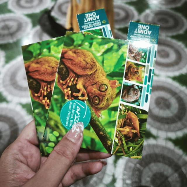 Bohol Chocolate Hills Tour with Loboc River Lunch Buffet - Shared-Tour Logistics: The Stuff That Can Make or Break Your Day