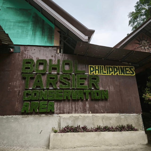 Bohol Chocolate Hills Tour with Loboc River Lunch Buffet - Xzootic Animal Park and the Python & Butterfly Sanctuary: Fun, But Keep Expectations Real