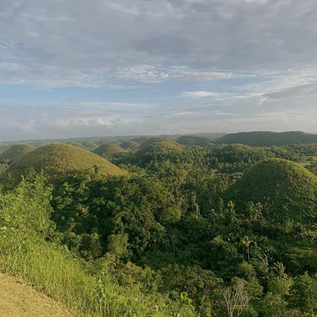 Bohol Chocolate Hills Tour with Loboc River Lunch Buffet - Tarsier Sanctuary: Small Creatures, Big Attention