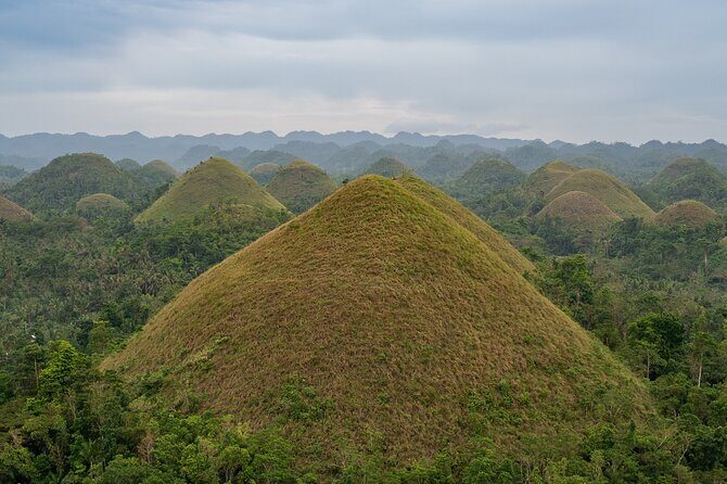 Bohol Chocolate Making and Farm Tour - Entering the farm: how the tour starts