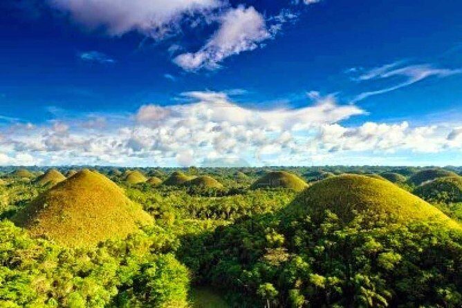 Bohol Countryside Day Tour From Cebu City | Lunch at Loboc River Cruise - Bilar Mahogany Forest: A Nice Reset Between Big Sights
