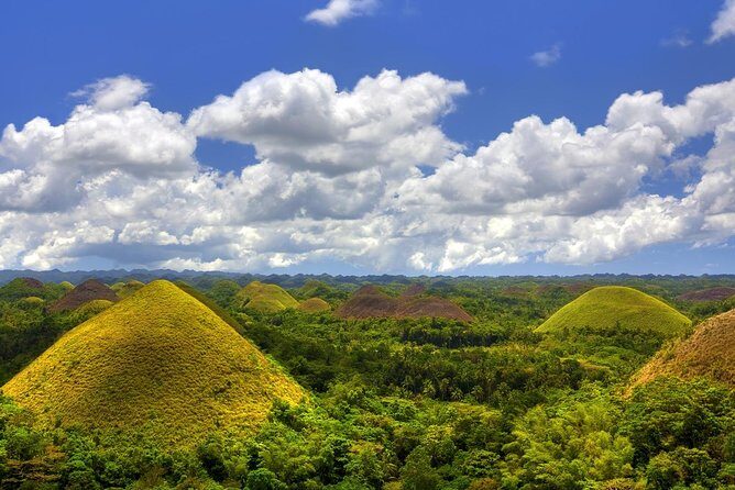Bohol Countryside Day Tour From Cebu City | Lunch at Loboc River Cruise - Loboc River Cruise with Buffet Lunch: The Day’s Main Event