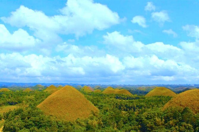 Bohol Countryside Day Tour from Cebu City or Mactan - Best Seller - From Cebu at 4:30 am: Ferry-First Logistics That Save Your Day