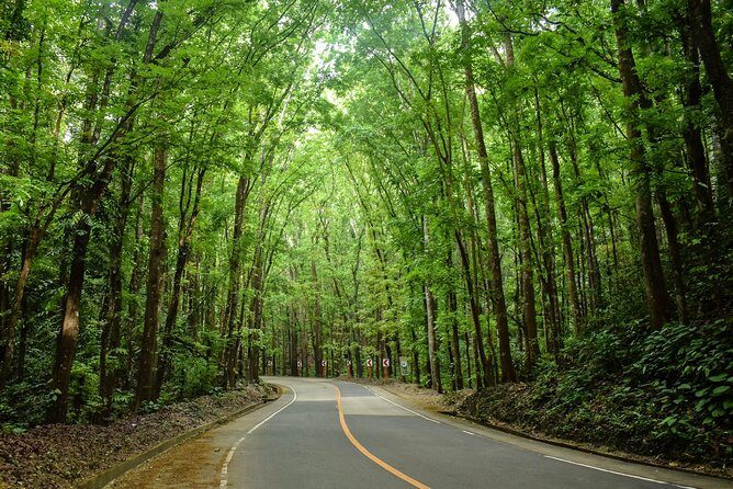 Bohol Countryside Day Tour from Cebu City or Mactan - Best Seller - Bohol Python and Wildlife Park: Photos, Timing, and Animal Moments