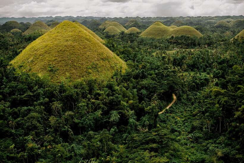 Bohol Countryside Private Tour From Cebu City - Tarsier Conservation Area: a small creature that still takes attention