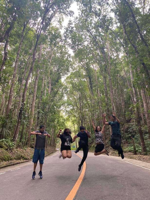 Bohol Countryside Private Tour From Cebu City - Who should book this private Bohol countryside tour?