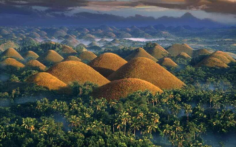 Bohol: Countryside Tour with Loboc (Buffet Lunch) - A Private Driver Day Around Bohol’s Best Hits