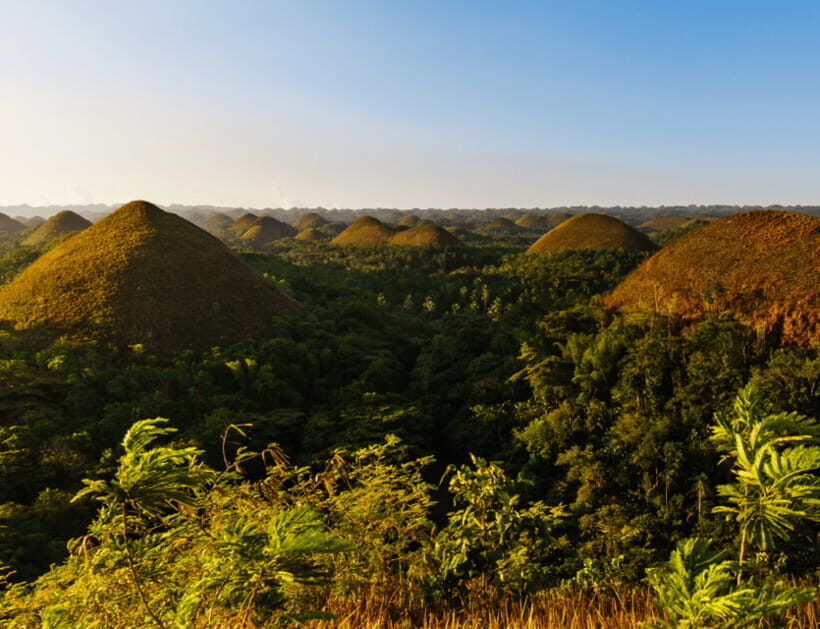 Bohol: Countryside Tour with Tarsiers and Chocolate Hills - The Loboc Break and the Manmade Forest for a Midday Reset
