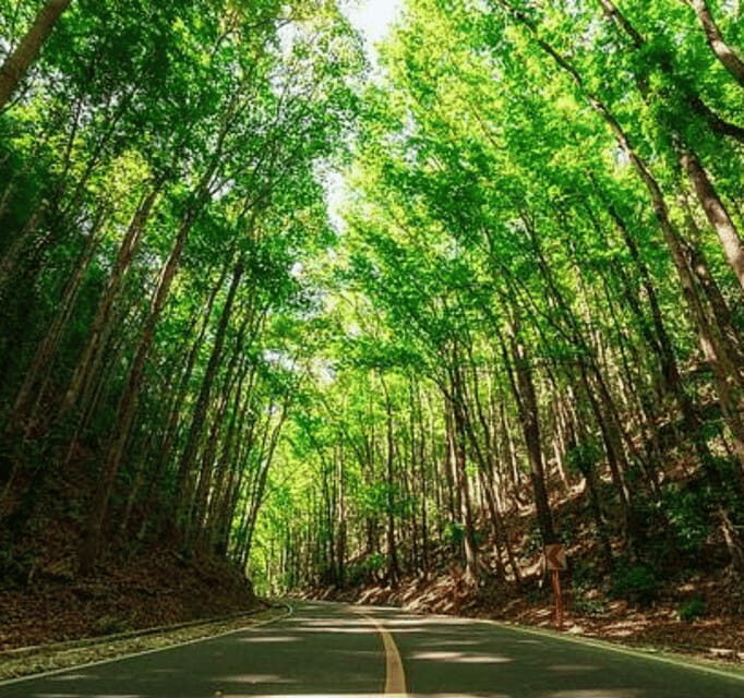 Bohol Day Tour From Cebu City or Mactan (Private Tour) - Key things to know before you go