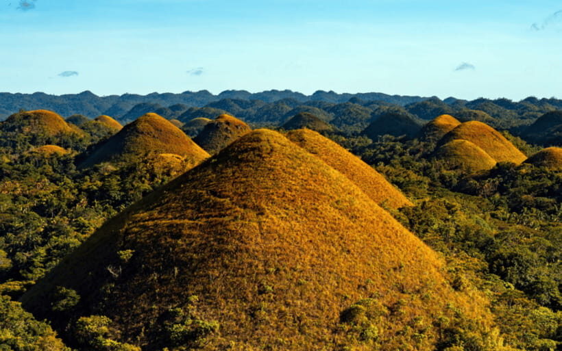 Bohol Day Tour From Cebu City or Mactan (Private Tour) - Private Door-to-Door Cebu Pickup (5:30–6:00 AM)