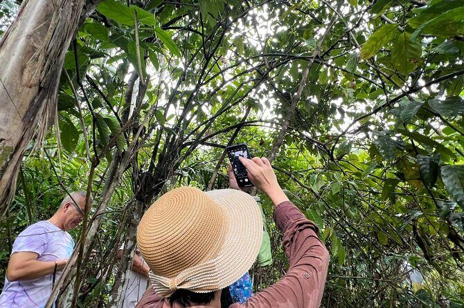 Bohol Day Tour with Round-Trip Transfers from Cebu - How the day stays organized: guides, pacing, and small-group comfort