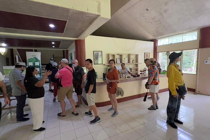 Bohol Day Tour with Round-Trip Transfers from Cebu - Chocolate Hills Natural Monument: 1,268 cones and a cloud check
