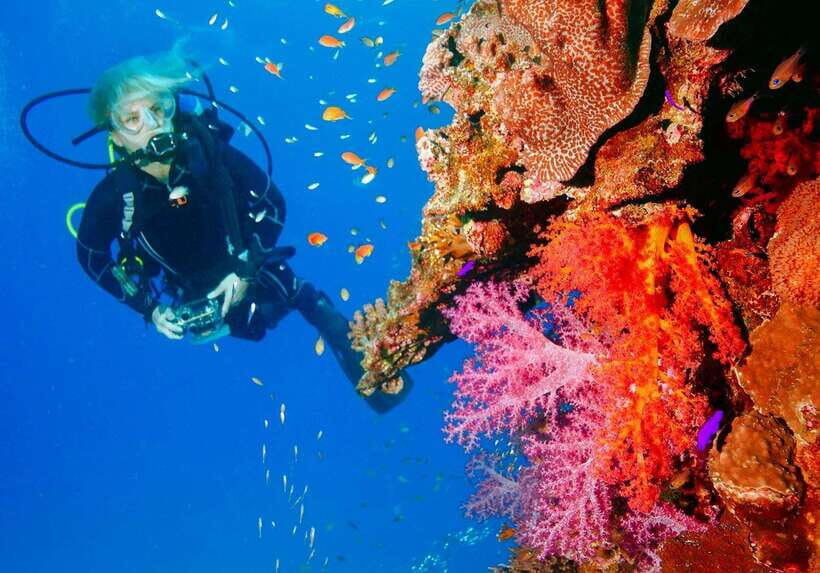 Bohol: Discover Scuba Diving - No Experience Needed - Key highlights you’ll feel fast