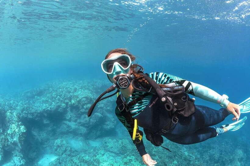 Bohol: Discover Scuba Diving - No Experience Needed - What makes the instruction feel beginner-friendly (and why that matters)
