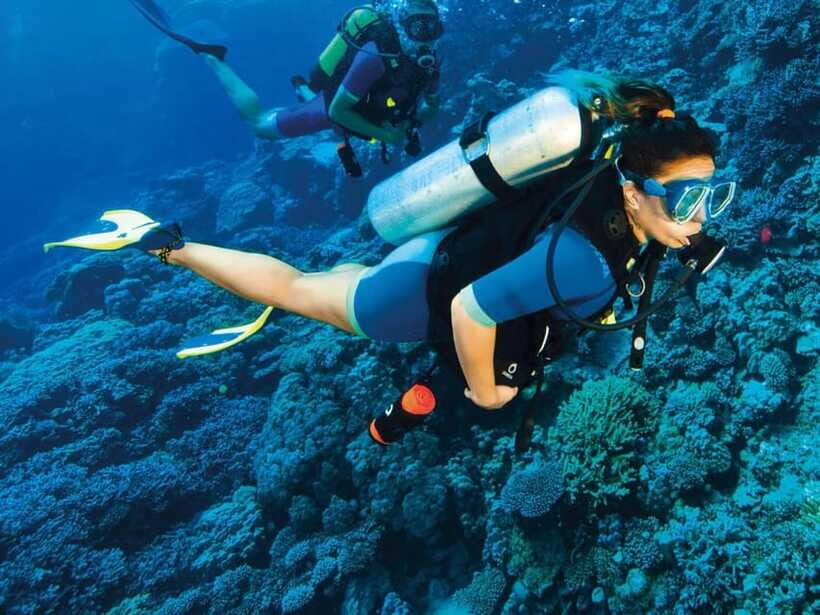 Bohol: Discover Scuba Diving - No Experience Needed - FAQ