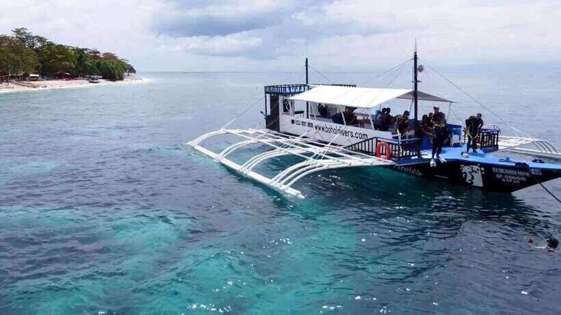 Bohol: Dolphin Watching & Snorkeling at Balicasag Island - Getting there: Panglao meeting point and shared vs private setup