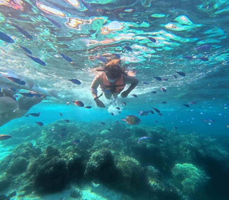 BOHOL: Dolphin Watching, Turtle Swim and Party Boat - Balicasag Snorkeling: Sea Turtles, Coral Reef Life, and Strong Conditions