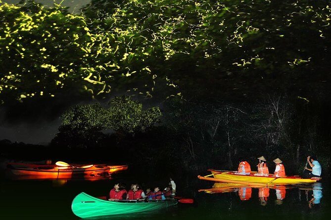 Bohol Firefly Watching (Private) - Key things I’d plan around