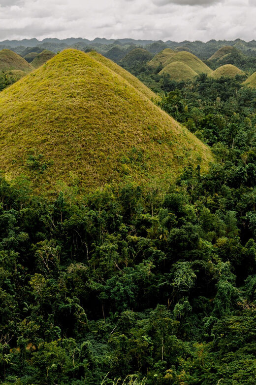 Bohol: Full Day Countryside Tour w Loboc River Lunch - The afternoon flow: butterfly center plus a smaller extra stop