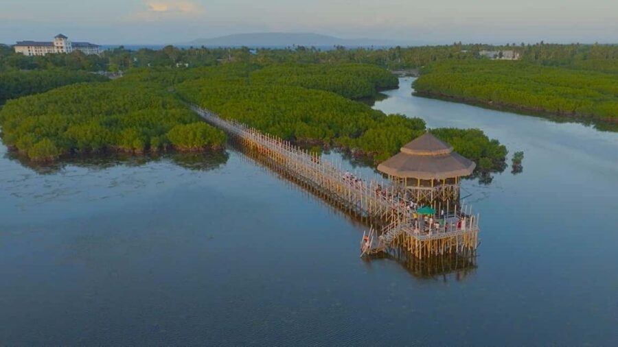 Bohol Hidden Gems: Panglao Beaches, Forests & Cave Adventure - Key Takeaways Before You Go