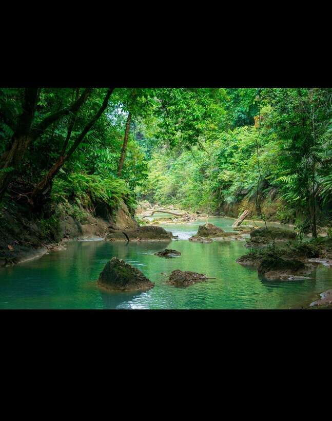 Bohol: Hidden Waterfall Hopping and Jungle Trek Adventure - The Trek Itself: Rice Fields, Rivers, Bamboo Bridges, and Slippery Truth