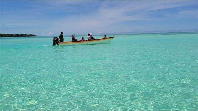 Bohol Island Hopping Tour (Private Tour) - Dolphin watching around Balicasag: fun when it happens, never guaranteed