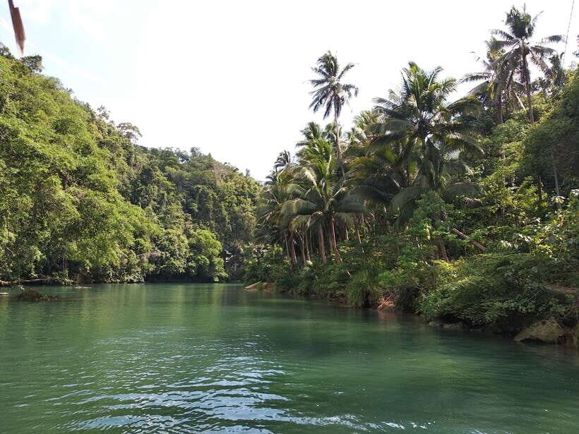 Bohol: Loboc River Buffet-Lunch Cruise with Private Transfer - What you eat: the buffet lunch with unlimited water and juice