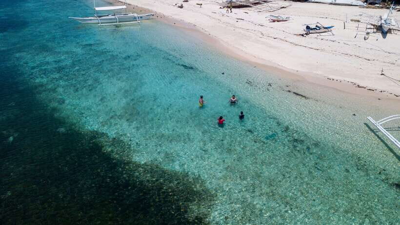 Bohol: Pamilacan Island Dolphin/Turtle Watching Tour & Lunch - Should You Book This Pamilacan Dolphin and Turtle Tour?